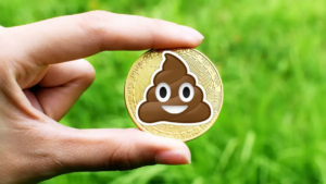 shitcoin